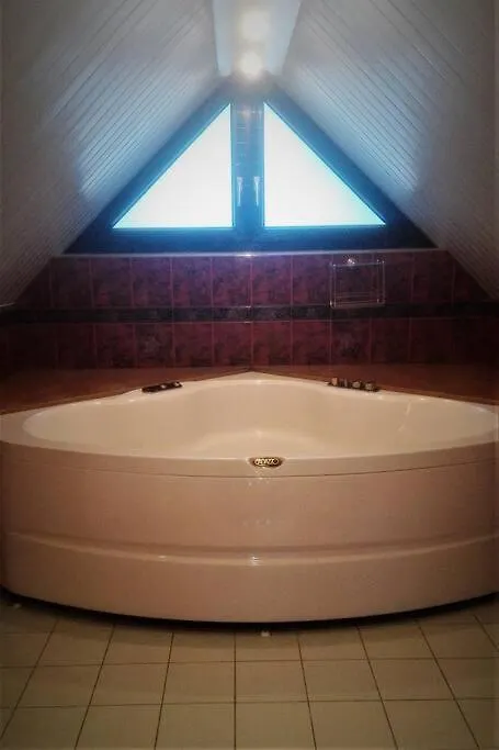 Dom Stegny Villa Warsaw Holiday home